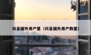 抖音国外用户量（抖音国外用户数量）