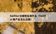 twitter注册姓名填什么（twitter用户名怎么注册）