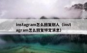 instagram怎么回复别人（instagram怎么回复特定消息）