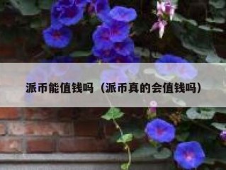 派币能值钱吗（派币真的会值钱吗）