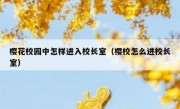 樱花校园中怎样进入校长室（樱校怎么进校长室）