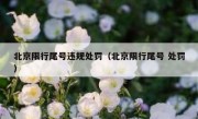 北京限行尾号违规处罚（北京限行尾号 处罚）