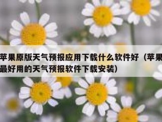 苹果原版天气预报应用下载什么软件好（苹果最好用的天气预报软件下载安装）