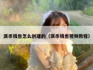 派币钱包怎么创建的（派币钱包视频教程）