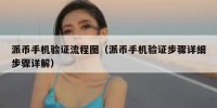 派币手机验证流程图（派币手机验证步骤详细步骤详解）