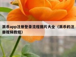 派币app注册登录流程图片大全（派币的注册视频教程）