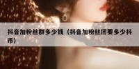 抖音加粉丝群多少钱（抖音加粉丝团要多少抖币）