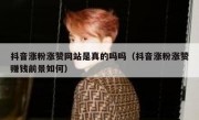 抖音涨粉涨赞网站是真的吗吗（抖音涨粉涨赞赚钱前景如何）