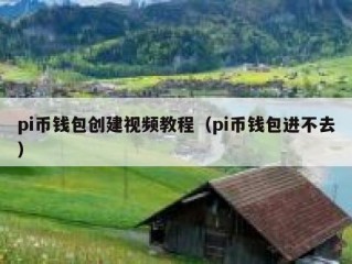 pi币钱包创建视频教程（pi币钱包进不去）