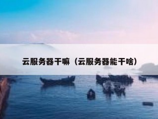 云服务器干嘛（云服务器能干啥）