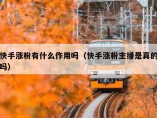 快手涨粉有什么作用吗（快手涨粉主播是真的吗）
