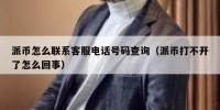 派币怎么联系客服电话号码查询（派币打不开了怎么回事）