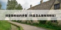 抖音做粉丝的步骤（抖音怎么做有效粉丝）