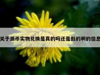 关于派币实物兑换是真的吗还是假的啊的信息