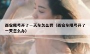 西安限号开了一天车怎么罚（西安车限号开了一天怎么办）