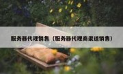 服务器代理销售（服务器代理商渠道销售）