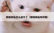 樱桃网站怎么进不了（樱桃网站如何看）