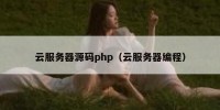 云服务器源码php（云服务器编程）