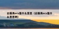 云服务ecs是什么意思（云服务ecs是什么意思啊）