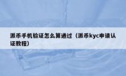 派币手机验证怎么算通过（派币kyc申请认证教程）