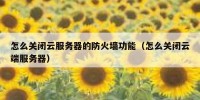 怎么关闭云服务器的防火墙功能（怎么关闭云端服务器）