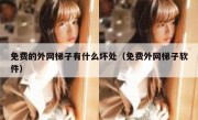 免费的外网梯子有什么坏处（免费外网梯子软件）