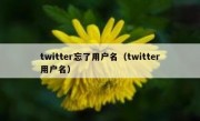 twitter忘了用户名（twitter用户名）