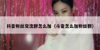 抖音粉丝交流群怎么加（斗音怎么加粉丝群）