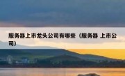 服务器上市龙头公司有哪些（服务器 上市公司）