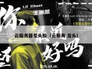 云服务器龙头股（云服务 龙头）