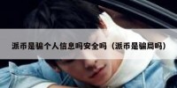 派币是骗个人信息吗安全吗（派币是骗局吗）