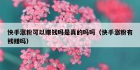 快手涨粉可以赚钱吗是真的吗吗（快手涨粉有钱赚吗）