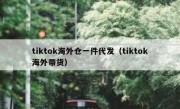 tiktok海外仓一件代发（tiktok海外带货）