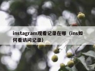 instagram观看记录在哪（ins如何看访问记录）