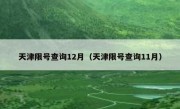 天津限号查询12月（天津限号查询11月）
