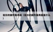 低价的国外服务器（低价的国外服务器是什么）