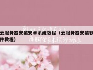 云服务器安装安卓系统教程（云服务器安装软件教程）