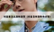抖音里怎么涨粉涨赞（抖音怎样涨粉快点赞）