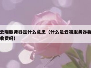 云端服务器是什么意思（什么是云端服务器要收费吗）