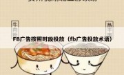 FB广告按照时段投放（fb广告投放术语）