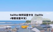 twitter如何设置中文（twitter哪里设置中文）