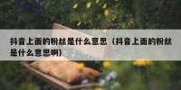 抖音上面的粉丝是什么意思（抖音上面的粉丝是什么意思啊）