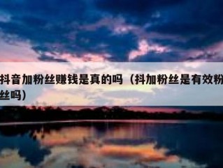 抖音加粉丝赚钱是真的吗（抖加粉丝是有效粉丝吗）
