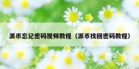 派币忘记密码视频教程（派币找回密码教程）