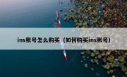 ins账号怎么购买（如何购买ins账号）