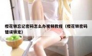 樱花锁忘记密码怎么办视频教程（樱花锁密码错误锁定）
