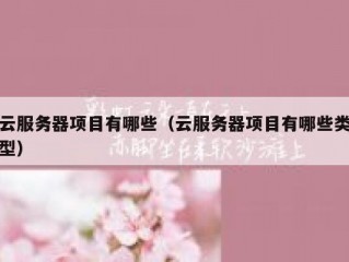 云服务器项目有哪些（云服务器项目有哪些类型）
