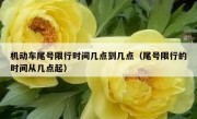 机动车尾号限行时间几点到几点（尾号限行的时间从几点起）