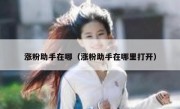 涨粉助手在哪（涨粉助手在哪里打开）