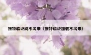 推特验证刷不出来（推特验证加载不出来）